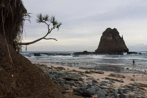 PAPUMA BEACH Stock Photos