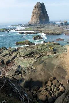 PAPUMA BEACH Stock Photos