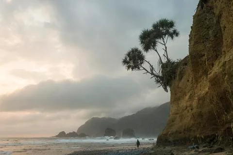 PAPUMA BEACH Stock Photos