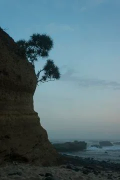 PAPUMA BEACH Stock Photos