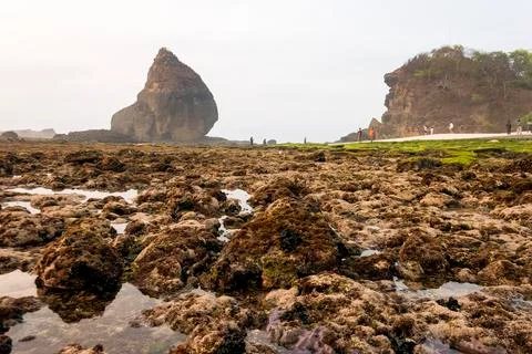 PAPUMA BEACH Stock Photos
