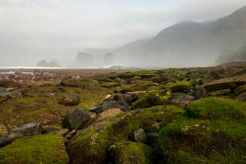 PAPUMA BEACH Stock Photos