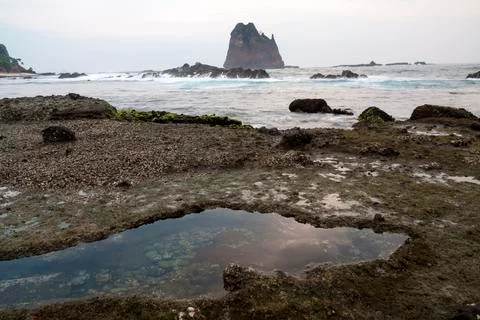 PAPUMA BEACH Stock Photos