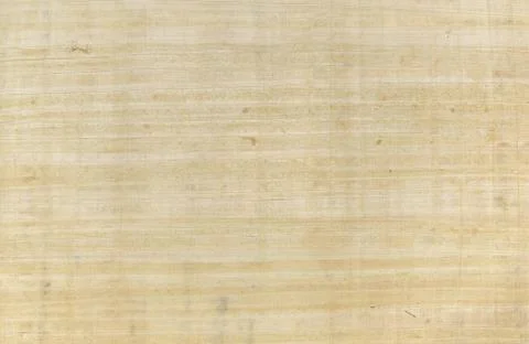 Papyrus close up Foto stock