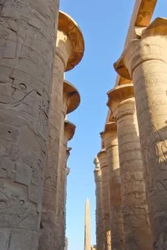 Papyrus columns Foto stock