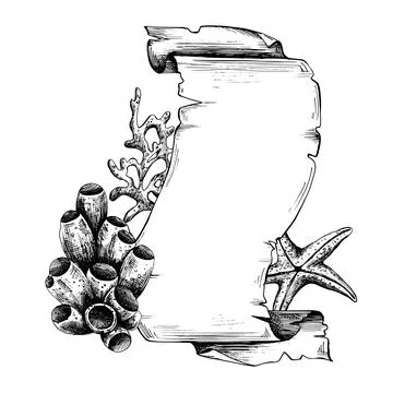 Papyrus curled scroll blue color with jagged edges, space for text with corals Stock Illustration
