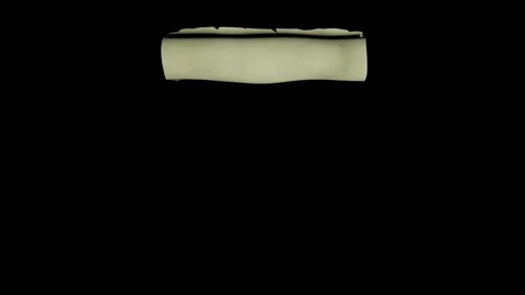 Papyrus Video stock 136887226