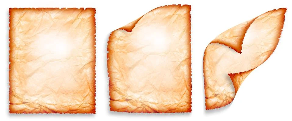 Papyrus Stock Illustration