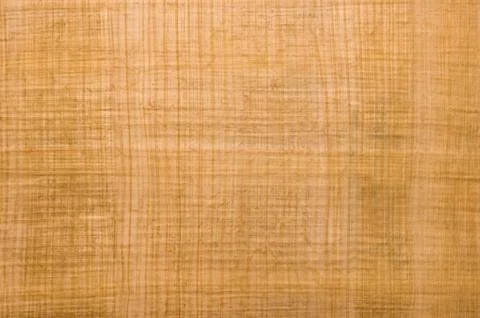 Papyrus Stock Photos