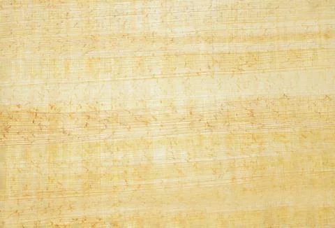 Papyrus texture Foto stock
