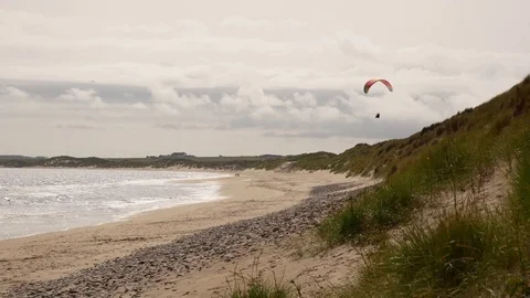 Para-glider flies with seagulls Video stock 79628733