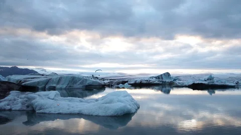 Para glider flying low over glacier lagoon full of icebergs in evening Video stock 93675983