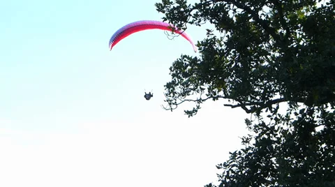 Para Glider Hang Gliding flying Rhine valley Boppard Rhineland-Palatinate Stock Footage 31746875