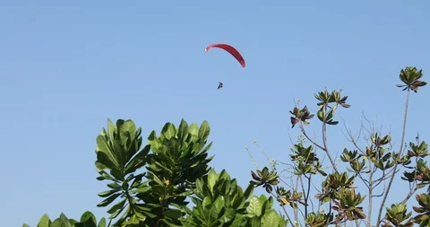 Para glider Paragliding Against security camera 스톡 동영상 98045581