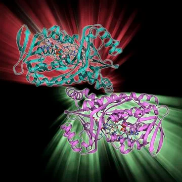 Para-hydroxybenzoate hydroxylase molecule イラスト素材