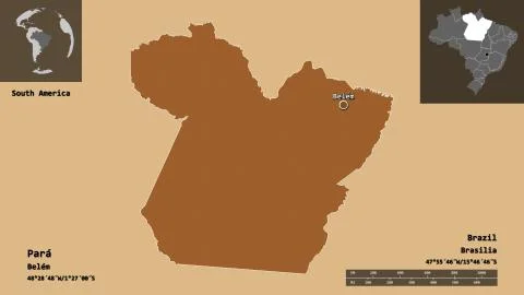 Para, state of Brazil. Previews. Pattern イラスト素材