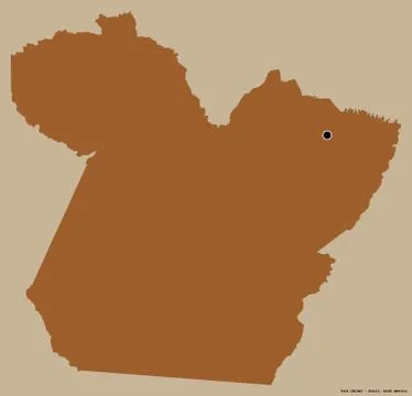 Para, state of Brazil, on solid. Pattern イラスト素材