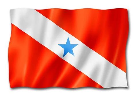 Para state flag, Brazil Stock-Illustration