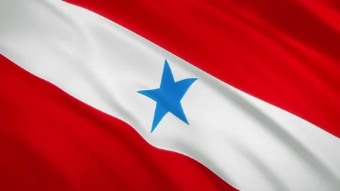 Para - Waving Flag Video Background - Brazil State Vidéo 165200739