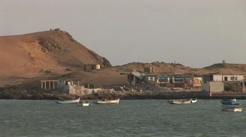 Paracas National Parc, Peru Stock Footage