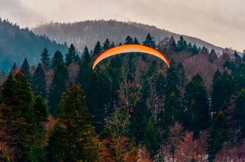 Parachute above the trees Stock Photos