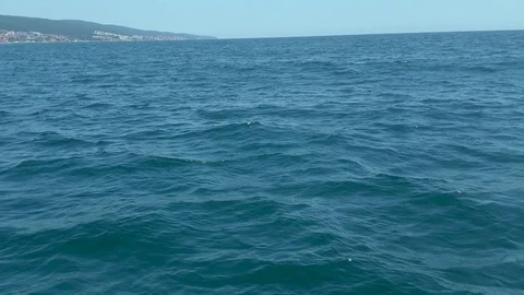 Parachute flight over the coast. Video stock 113398897