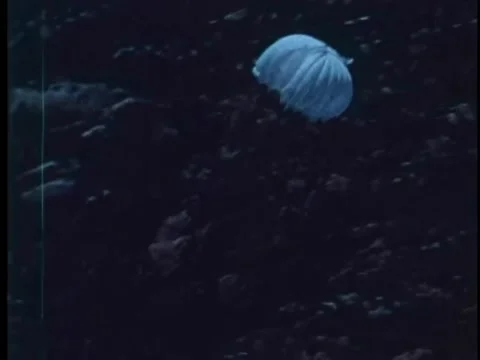 Parachute opening in mid-air Video stock 260255423