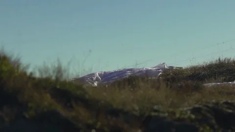Parachute rising in the air Stock Footage 76003261