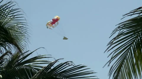 Parachute through the trees Stock Footage 2856445