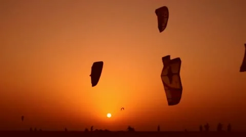 Parachuters at sunset Stock Footage 20509059