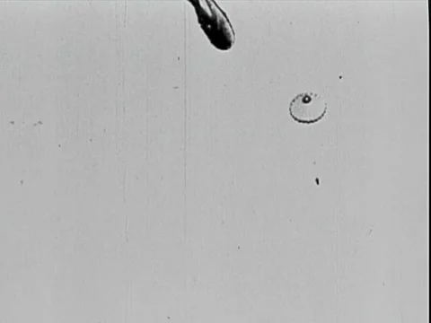 Parachuting From Observation Balloon - World War 1. Stock Footage 41605302