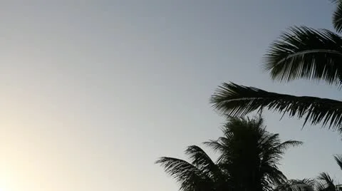 Parachuting in Paradise 스톡 동영상 21303159