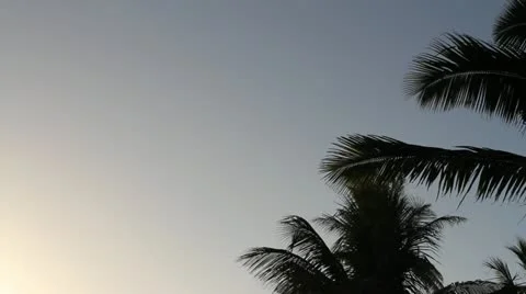 Parachuting in Paradise 스톡 동영상 21303243