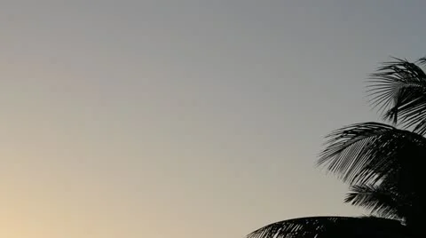 Parachuting in Paradise Stockbeeldmateriaal 21303912