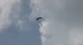Parachutist with big flag HD Footage