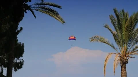 Parachutist Vídeo Stock 10156083