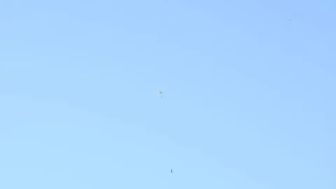 Parachutists fly in the sky Stock Footage 78643099