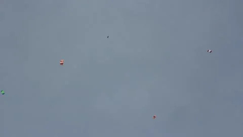 Parachutists Stock Footage 10849385