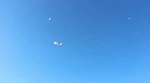 Parachutists in the sky cloudless Video stock 57396662
