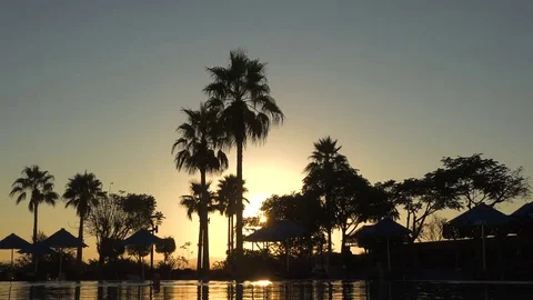 Paradais at sunrise Stock Footage 83594227