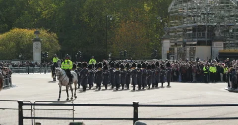 The parade of Changing of the Guards at Buckingham Palace royal residence Stock Footage 320837250