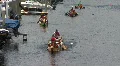 Parade Of Dragon Boats Vídeo HD