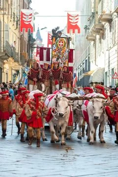 Parade during the Palio Photos