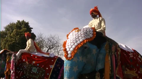 Parade for the feat of the elephants Stock Footage 52177987