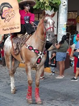 Parade leader Stock Photos