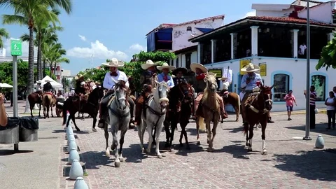 Parade, people on horses Stock Footage 81155952
