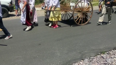 Parade of pioneers pulling handcarts, low shot HD Stock-Footage 95951173