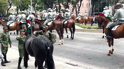 Parade shot of a horse being tranquilized during the mexico city military Vídeos de archivo 218673598