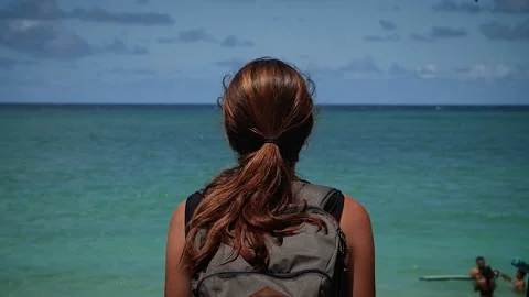 Paradise 128 Stock Footage 155495317