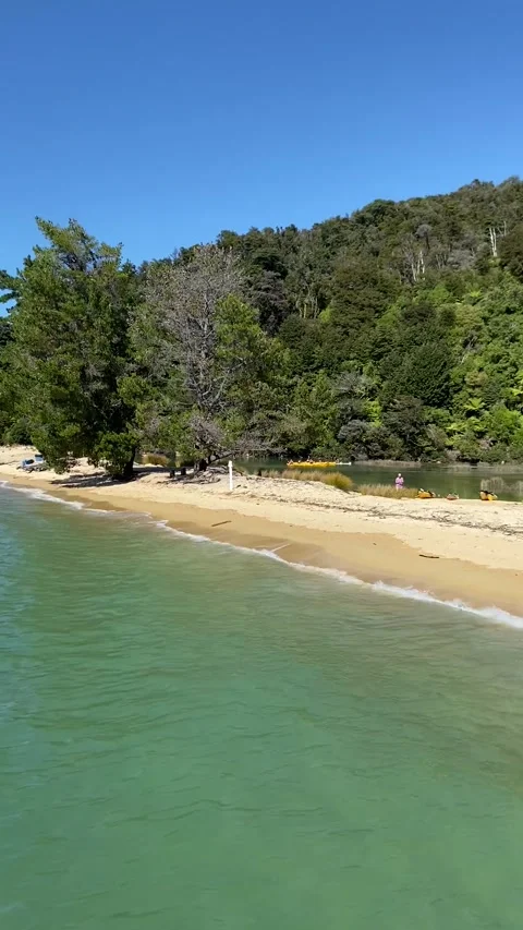 Paradise beach in Abel Tasman Vídeos de archivo 343952273